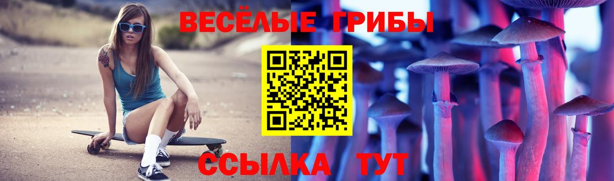 Гусь-Хрустальный  Псилоцибиновые грибы мухоморы  Вход с VPN  Псилоцибиновые грибы MAGIC MUSHROOMS 